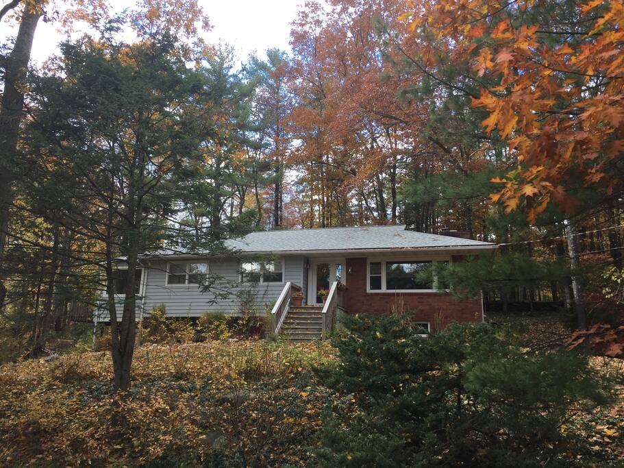 Our magical treehouse in the woods.