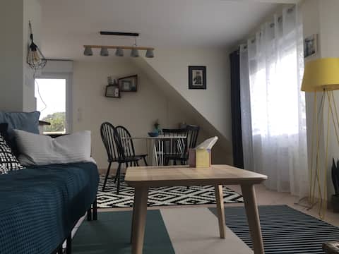 Propriété Airbnb réussie: Chez Marine: Quiet 2-room, balcony, 3 minutes from the beaches à Bénodet