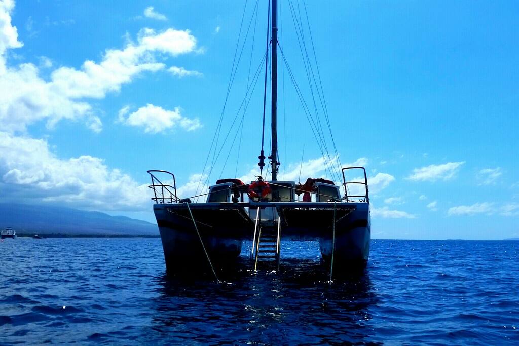 Drawbridge stairs to swim from