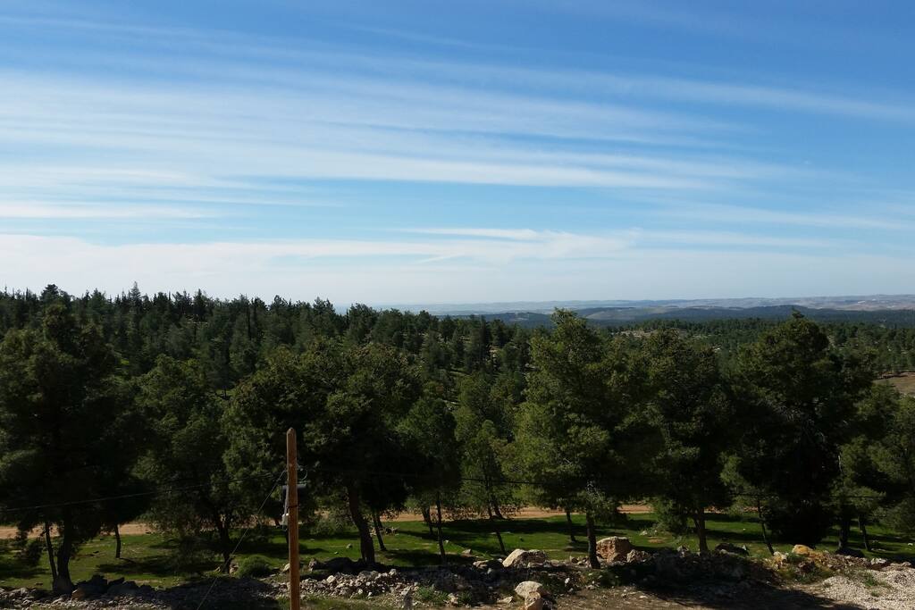 the View from the balcony