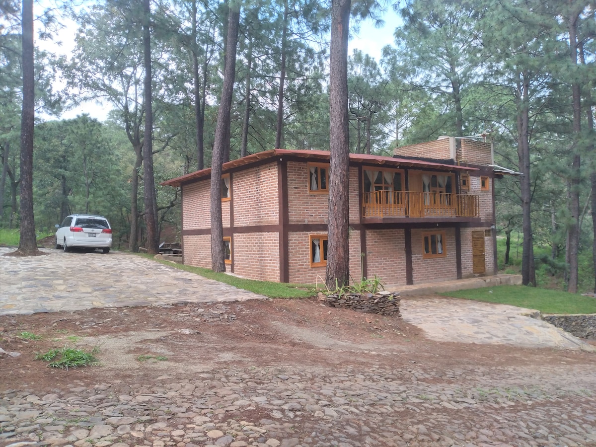 A two-story cabin is nestled among tall pine trees, featuring a stone pathway leading to the entrance. The structure displays a mix of natural wood and brick elements, with multiple windows and a balcony offering views of the surrounding forest.