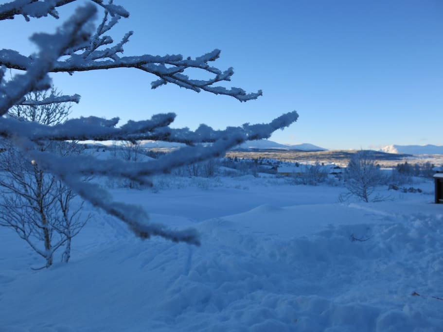 Vestvendt terrasse med nydelig utsikt.