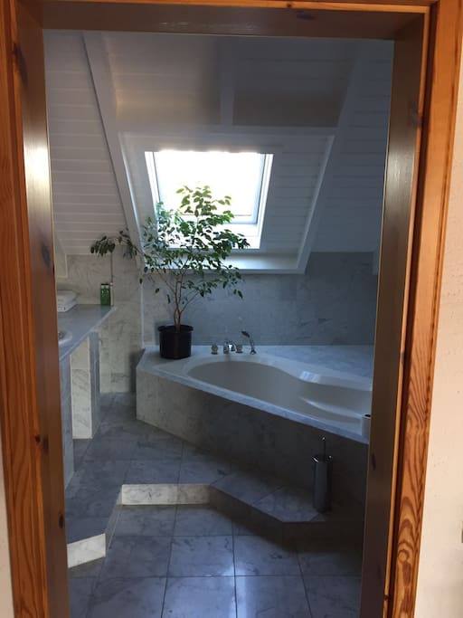 Bad 1 mit Terrapool