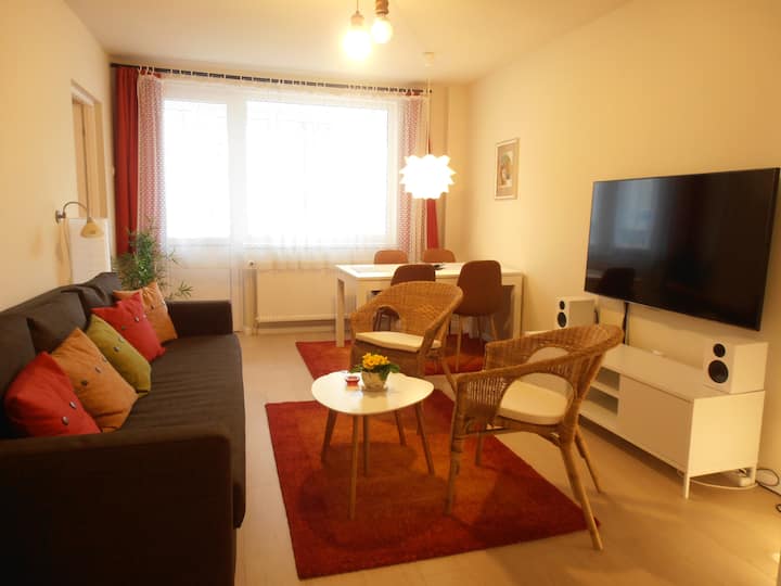 Lovely Modern Flat Close To Downtown - Târgu Mureș