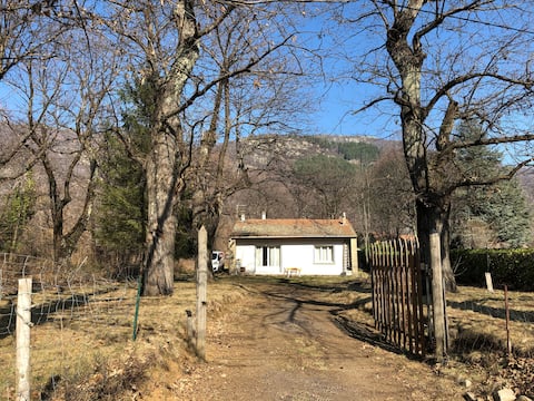 Quiet, single-story house with chestnut trees.