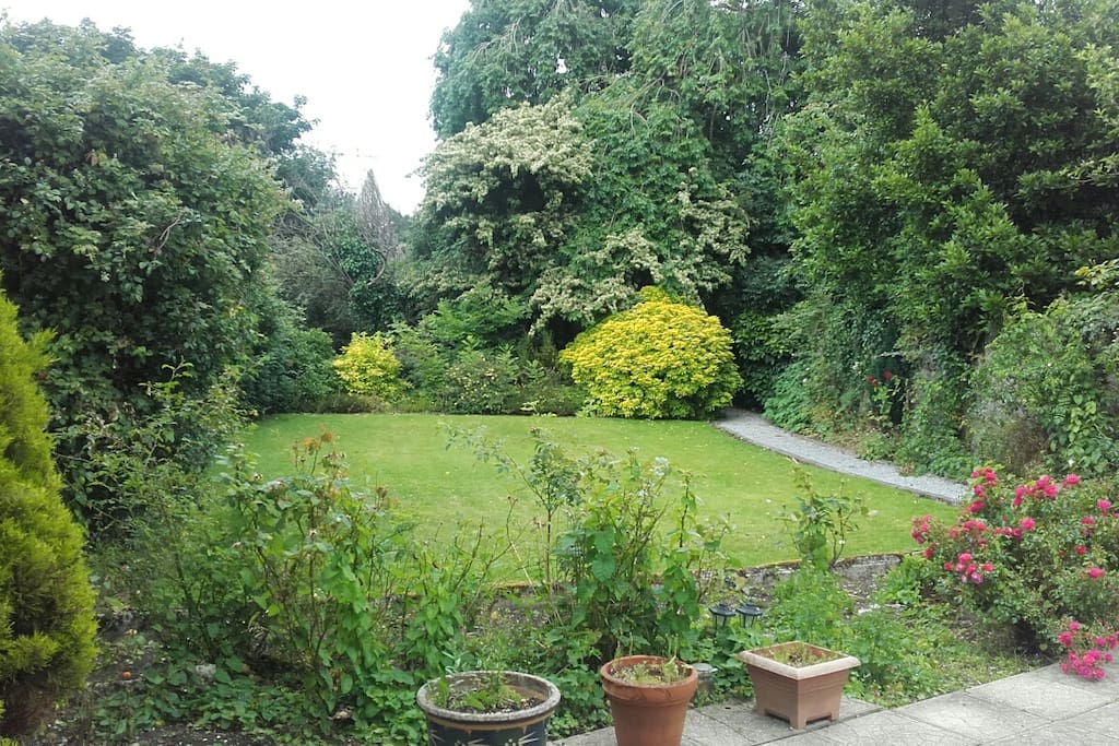 Front garden