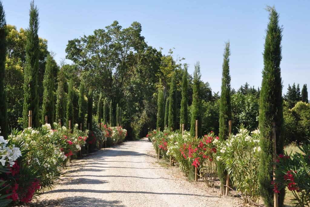 Bienvenue au Moulin de la Roque - entrance and chemin to Noves