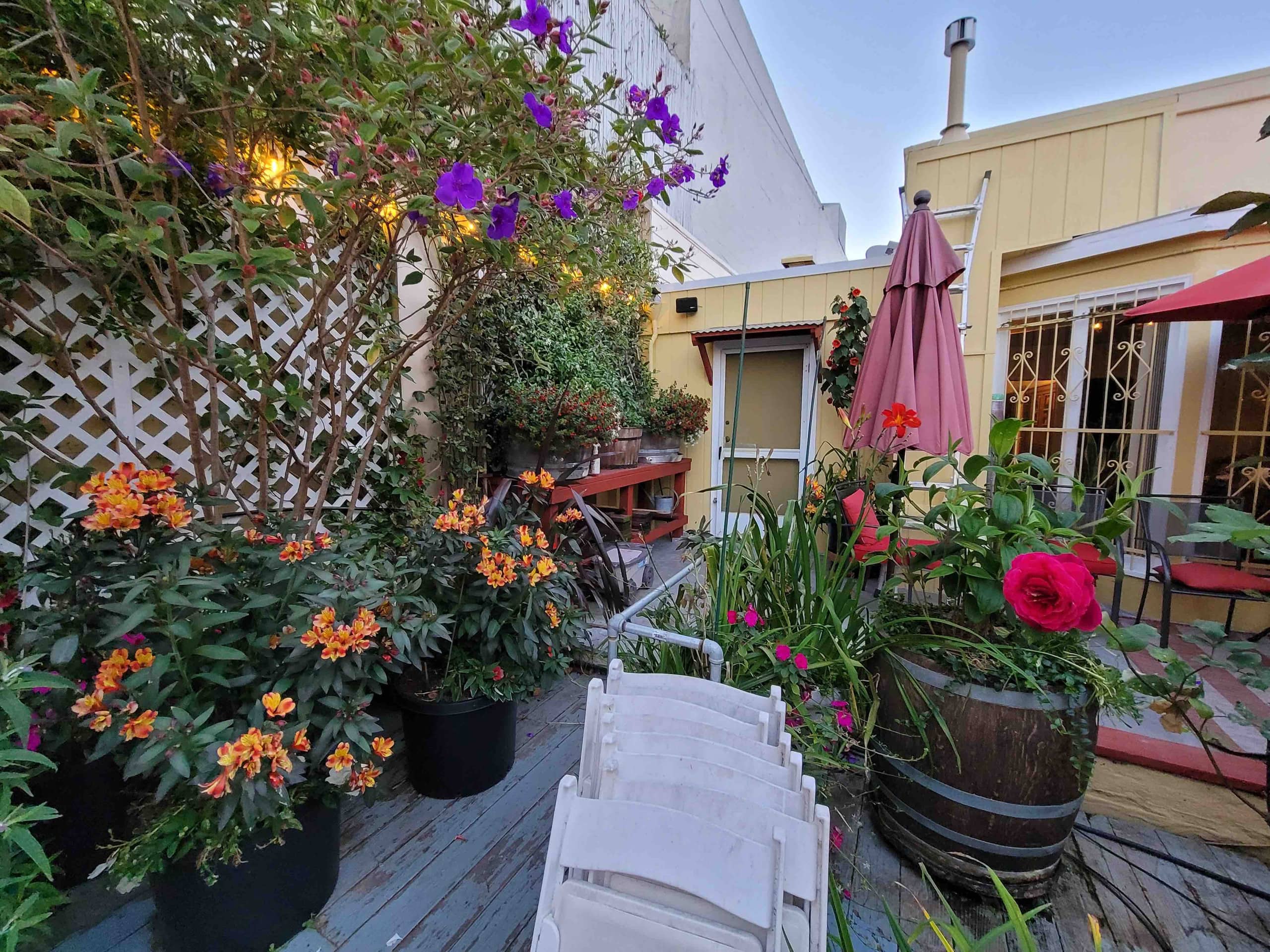 Home in San Francisco · ★4.98 · 2 bedrooms · 1 bed · 1 bath - Image 50