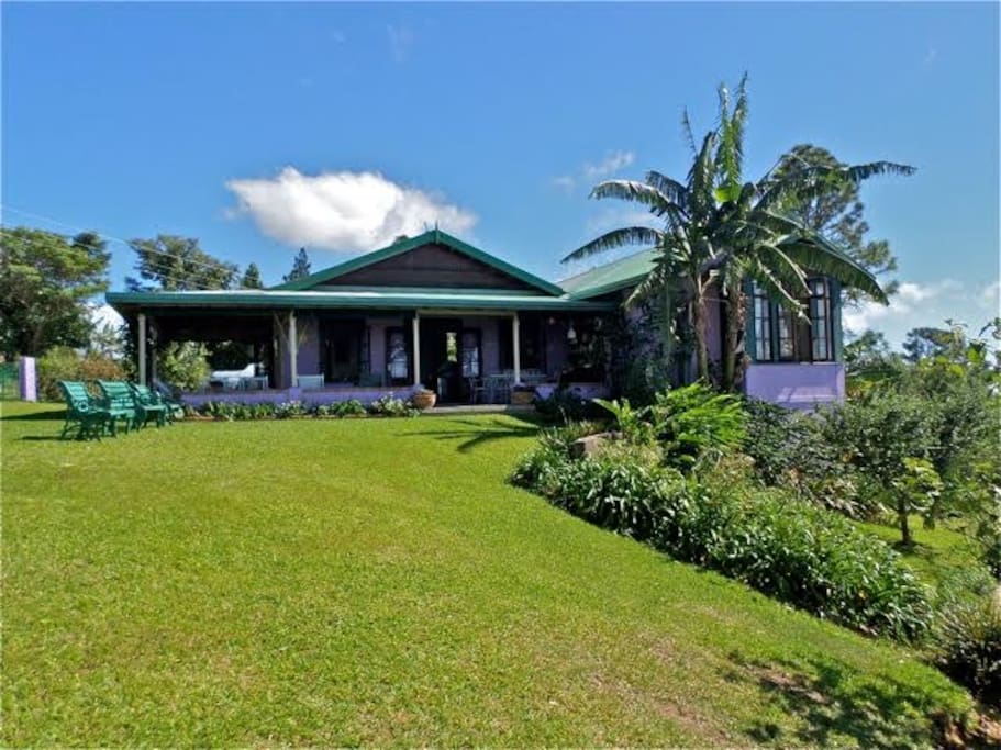 Top 100 Airbnb Rentals in Kingston, Jamaica