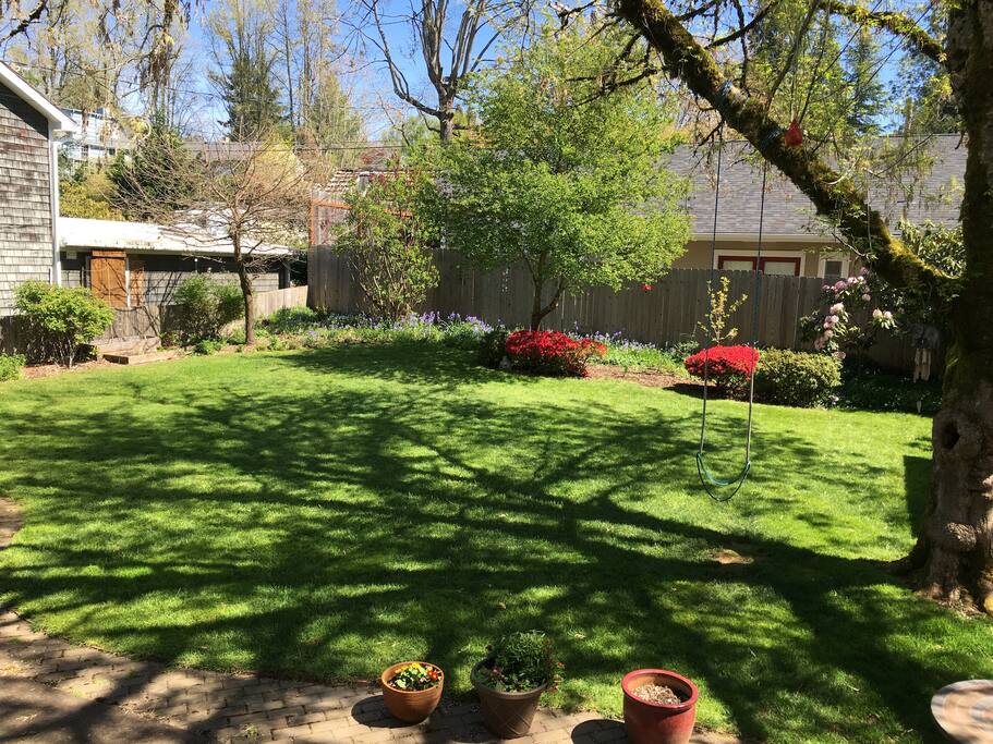 Backyard