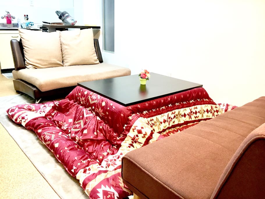 I am fully equipped with a kotatsu