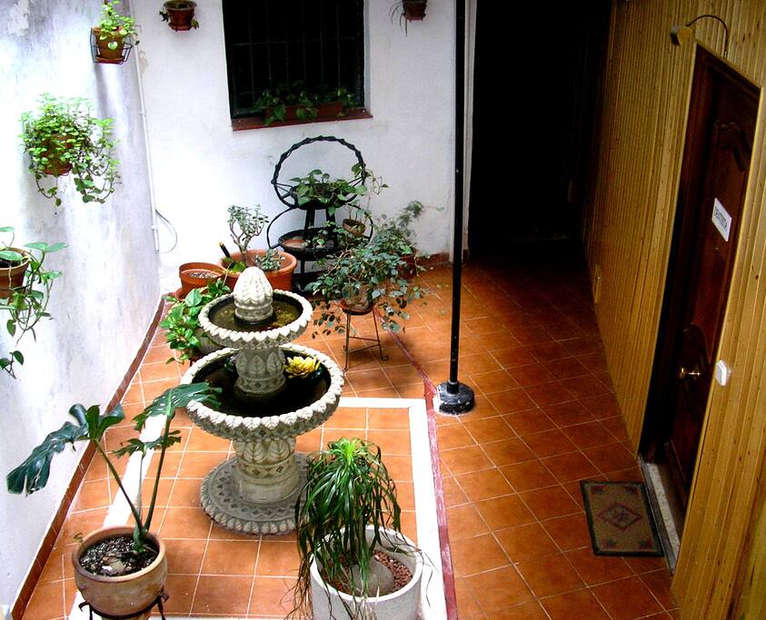 PATIO ANDALUZ