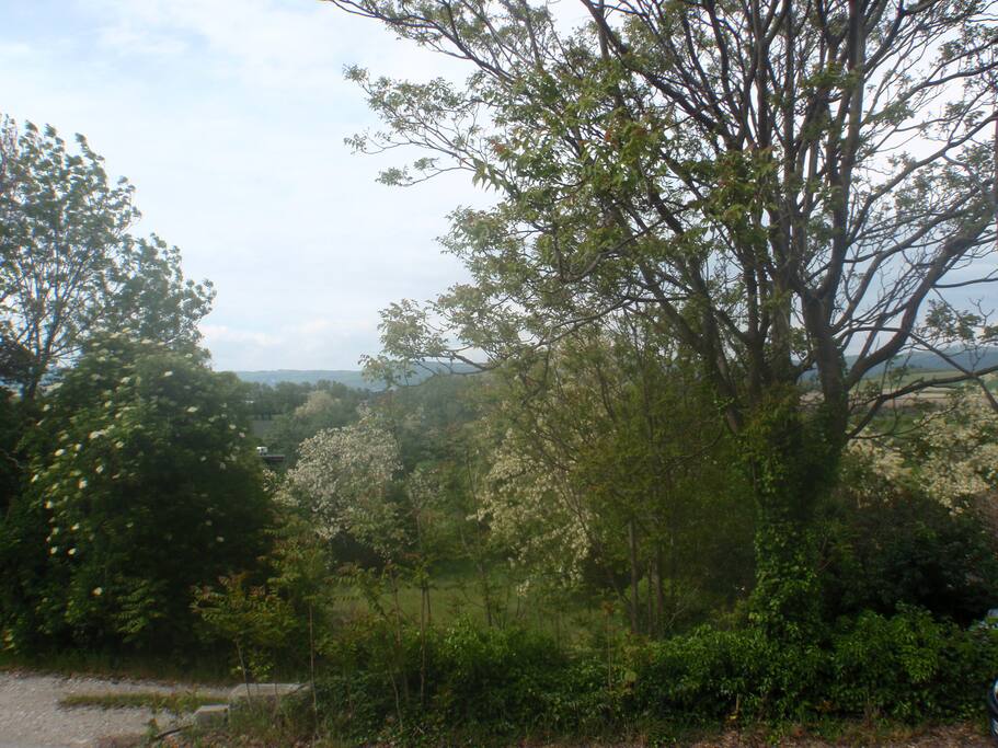 La vue sans vis à vis du séjour.