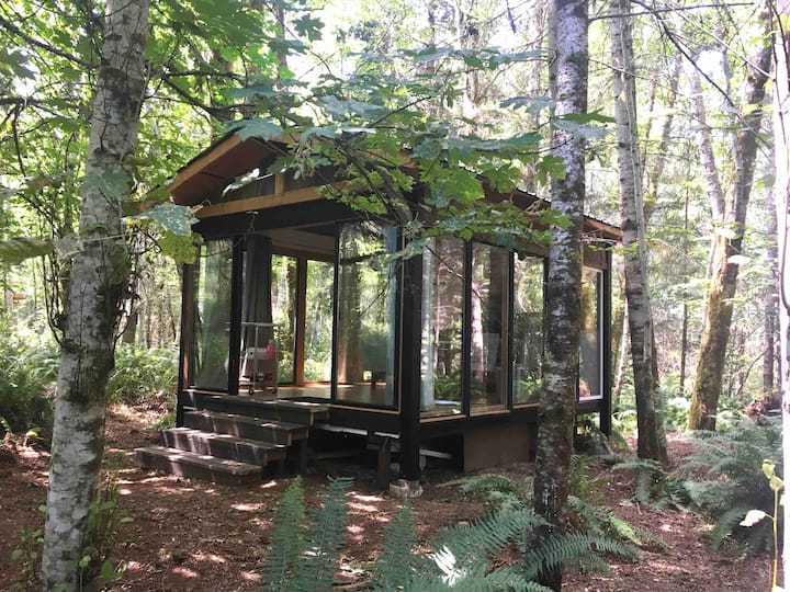 10 Best Airbnb Tiny Houses In Olympia, Washington Updated 2024 Trip101