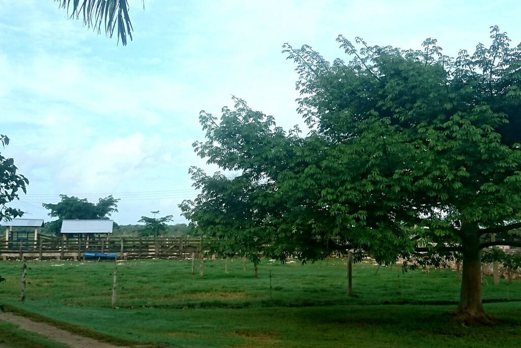 Vista del Casco de Rancho.