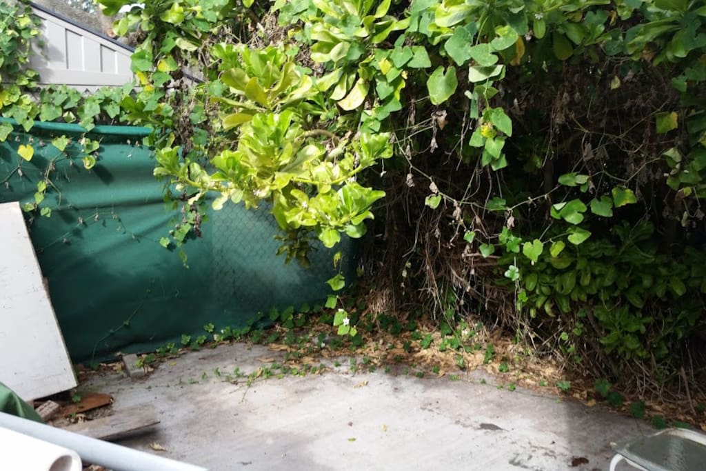 Private back area-More photos coming!