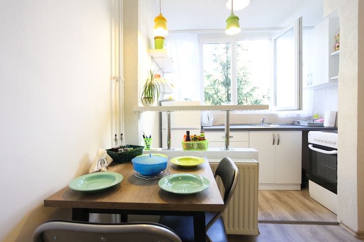 Beautiful apartment near center