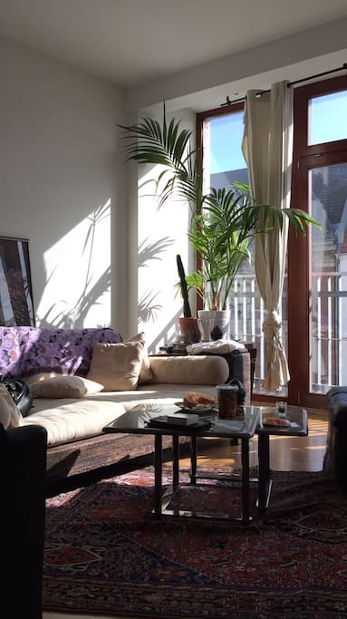 Sun all day long