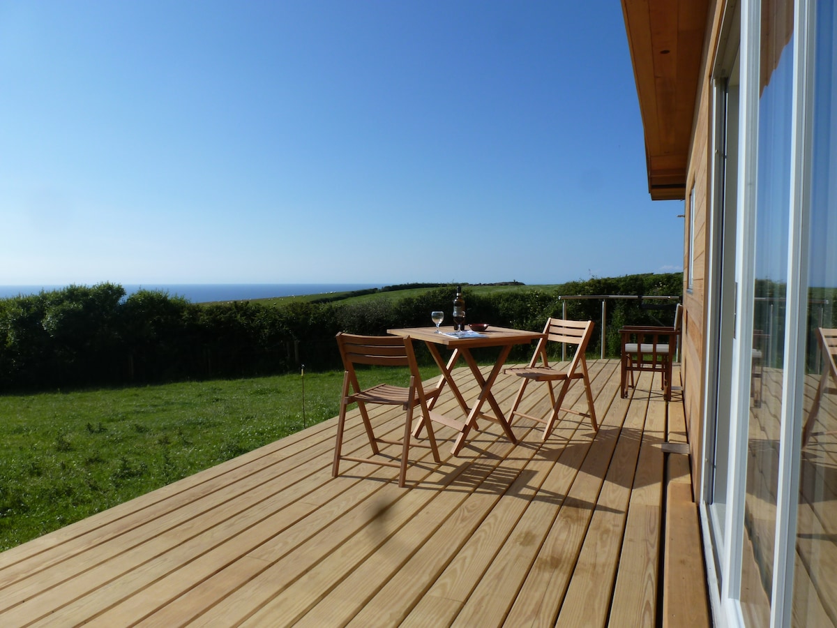 A wooden deck features a dining table with two folding chairs, accompanied by two glasses and a bottle. Lush green grass surrounds the space, leading to expansive views of the ocean under a clear blue sky.