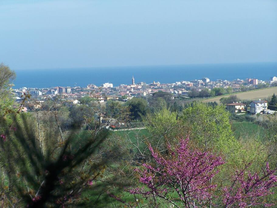 Vista mare