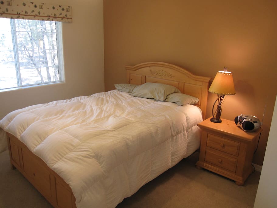 Downstairs bedroom with queen bed