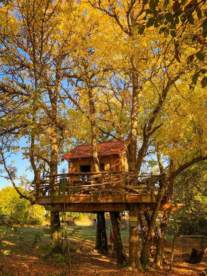 The Treehouse Retreat