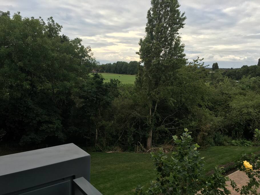 View from room