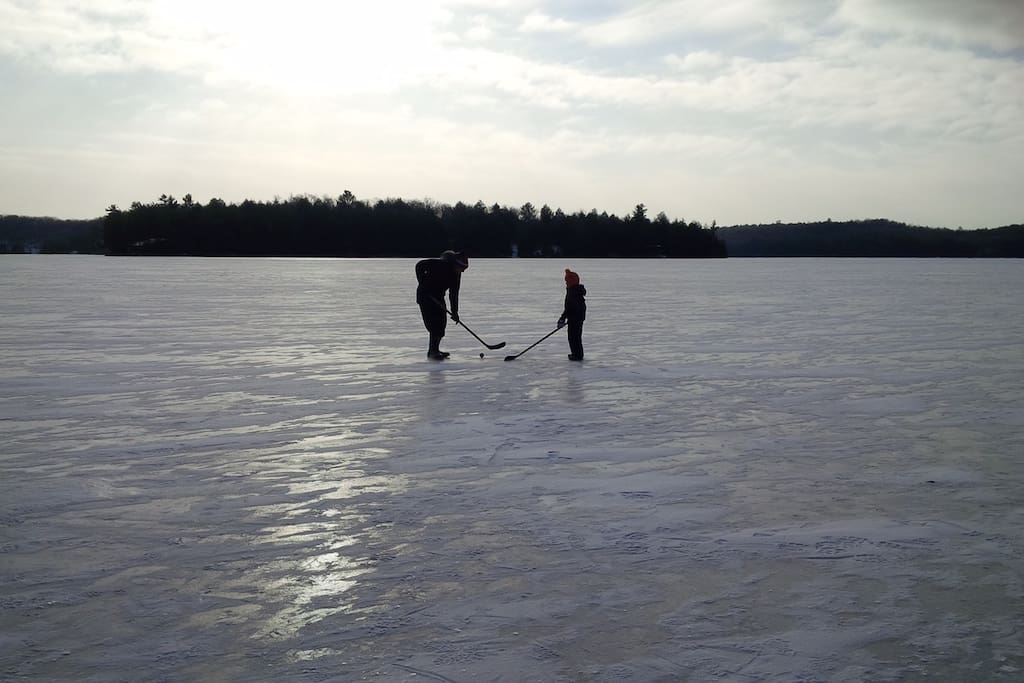 January at the cottage