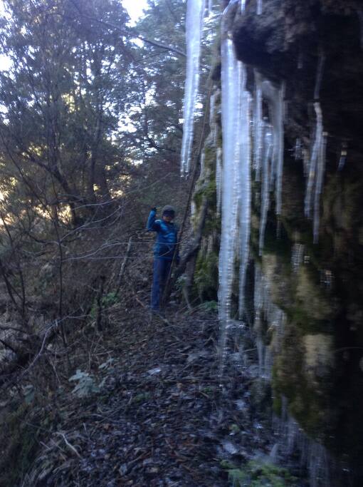 Cañón subiendo la sierra.