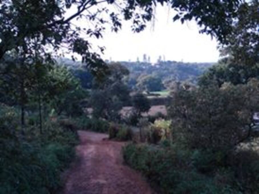 The village is idyllic and untouched by construction and other human developments