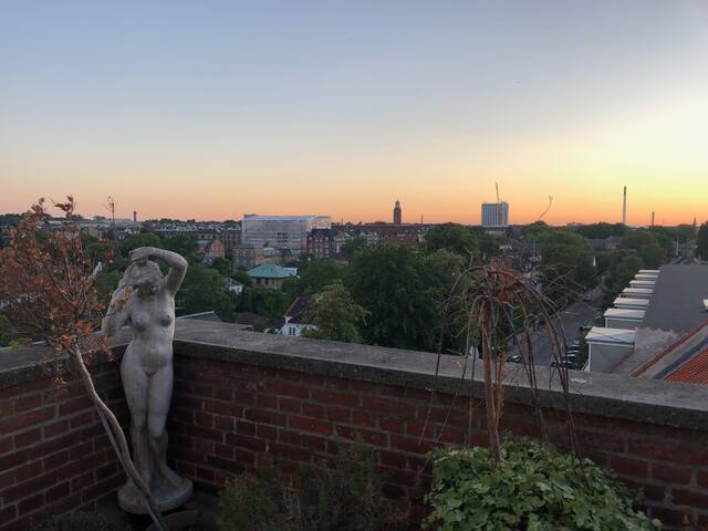 Historic Frederiksberg Home with spectacular view