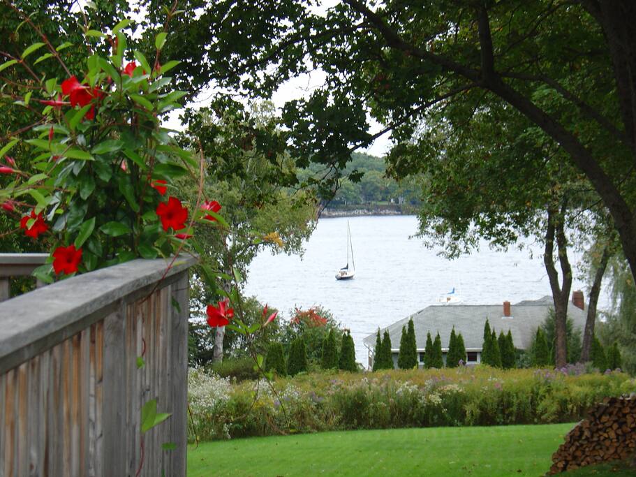 Deck view