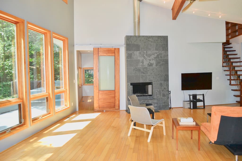 Living room and fireplace