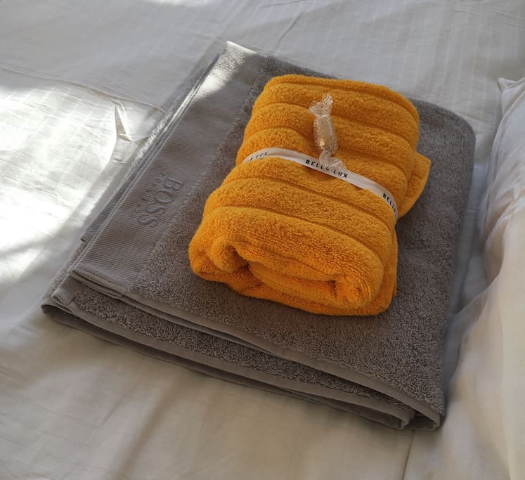 Towels, shower gel, tooth paste, hairdryer, iron provided.