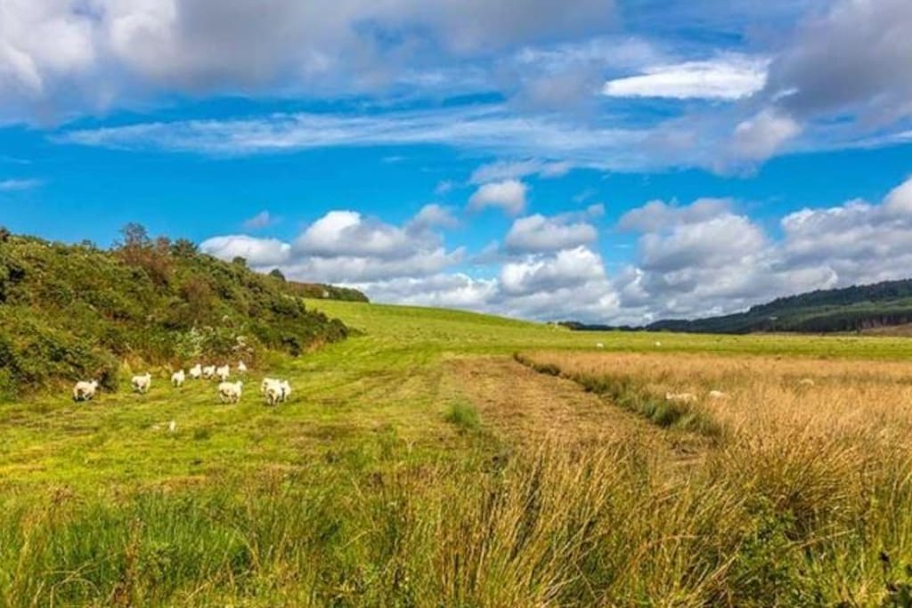 View behind the cottages