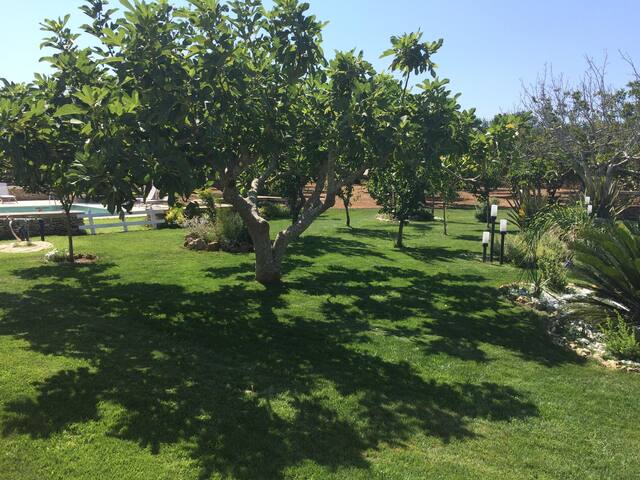 In Salento Villa con piscina ad uso esclusivo gallery image 5