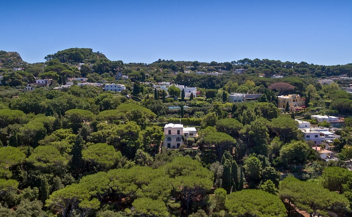 Villa Douglas – Villa Nestled In Nature - 卡普里
