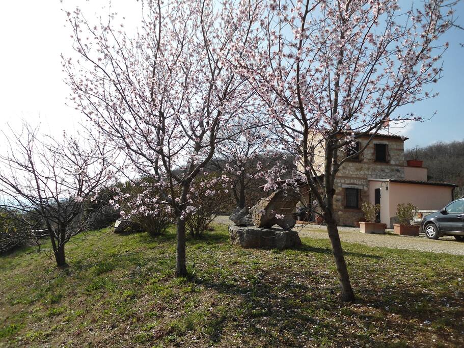 la casa e resede