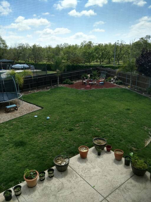 Local orchards and beautifully landscaped backyard.