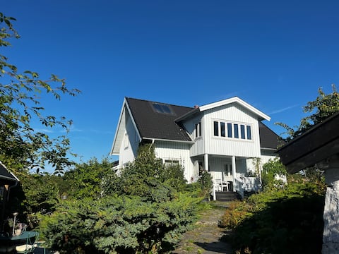 Big House nearby the Sea