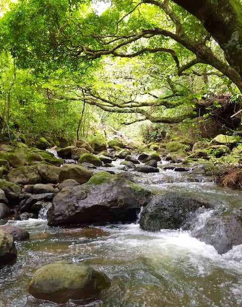 Gosen Mountain Lux Room Paradise, near Airport