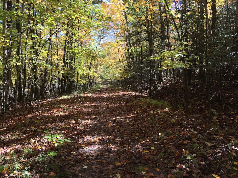 Private road leading to the cottage. Cottage property is very quiet yet only 5 minutes from main highway. Circular driveway has ample parking for larger vehicles.