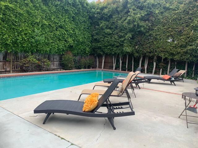 Westwood Oasis with Pool and Spa (near UCLA) gallery image 3