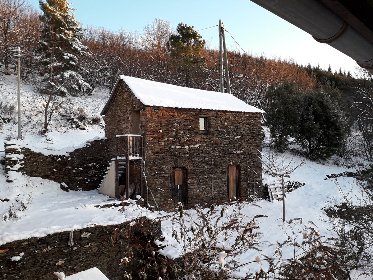 A stone building, likely an old clède, is covered in a blanket of snow, contrasting with the surrounding greenery and trees. The exterior features wooden doors and a balcony, with slopes of snow-dusted ground visible around the structure.