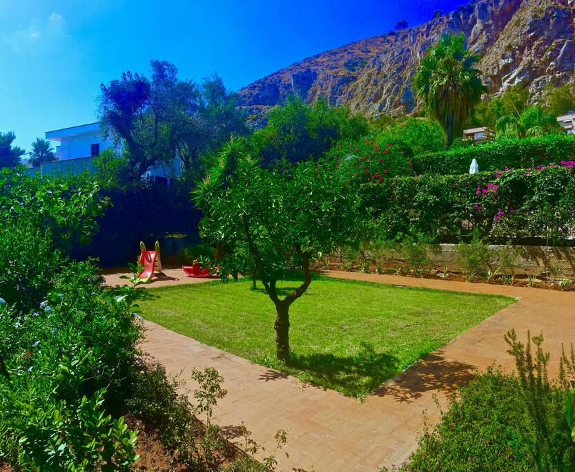 Garden and toys