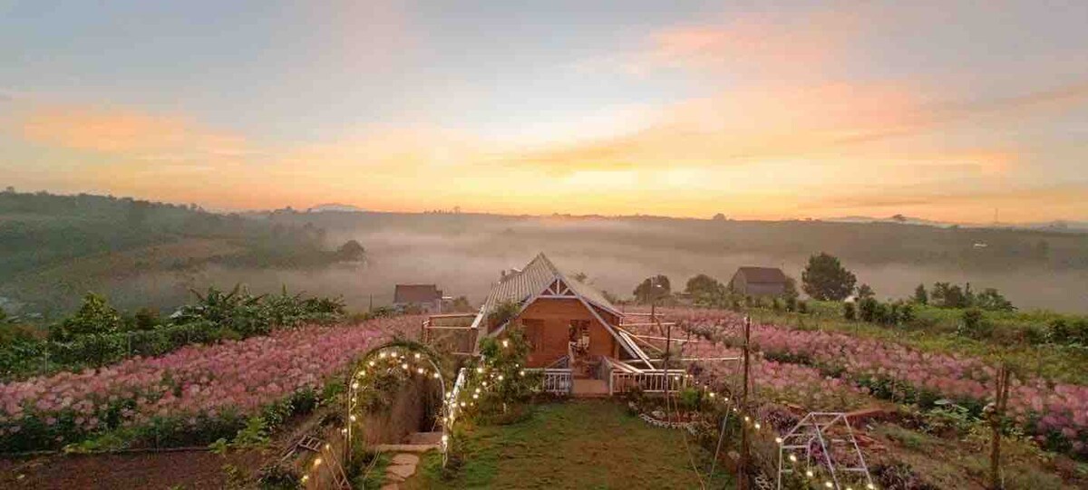 A charming hillside retreat is surrounded by vibrant flower fields under a soft morning sky. Twinkling lights are woven through the greenery, enhancing the serene landscape, while mist gently blankets the valley in the distance.