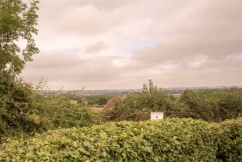 View from french windows