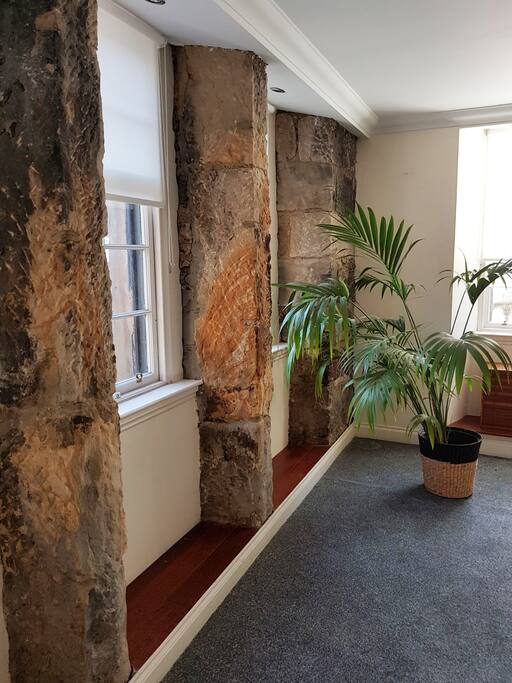 Exposed concrete and sash windows in Greek Thompson flat