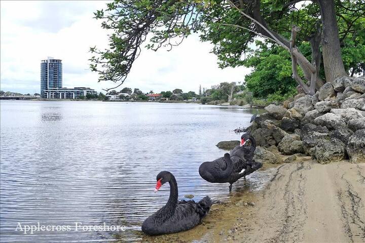 Generous Riverside Living*3BR Swan River*Heathcote gallery image 2