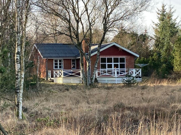 Cottage with water view